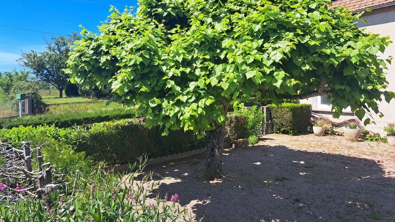 Photo of Outdoor in Mesvres