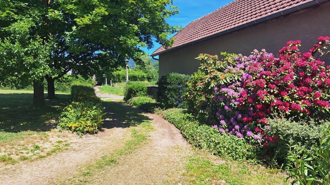 Photo of Outdoor in Mesvres