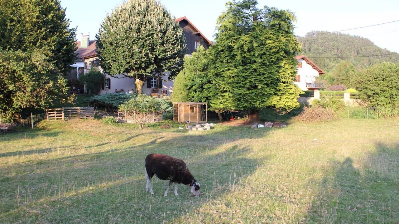 Photo of Outdoor in Ferdrupt