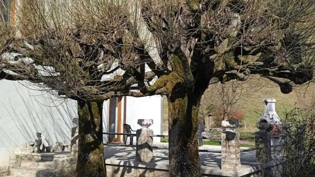 Photo of Outdoor in Nevy-sur-Seille