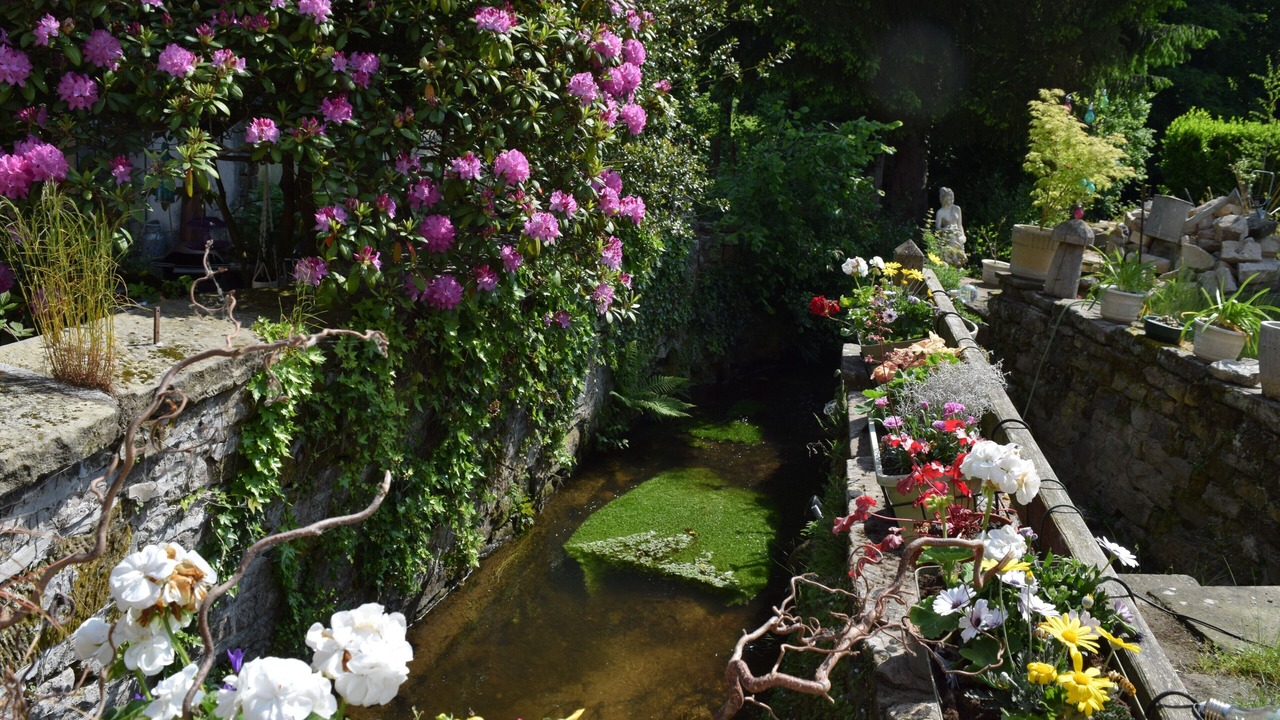Photo of Outdoor in Forges-les-Bains