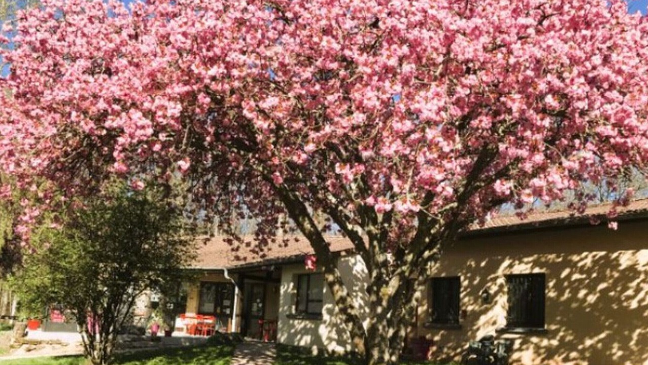 Photo of Outdoor in Fontenoy-le-Chateau