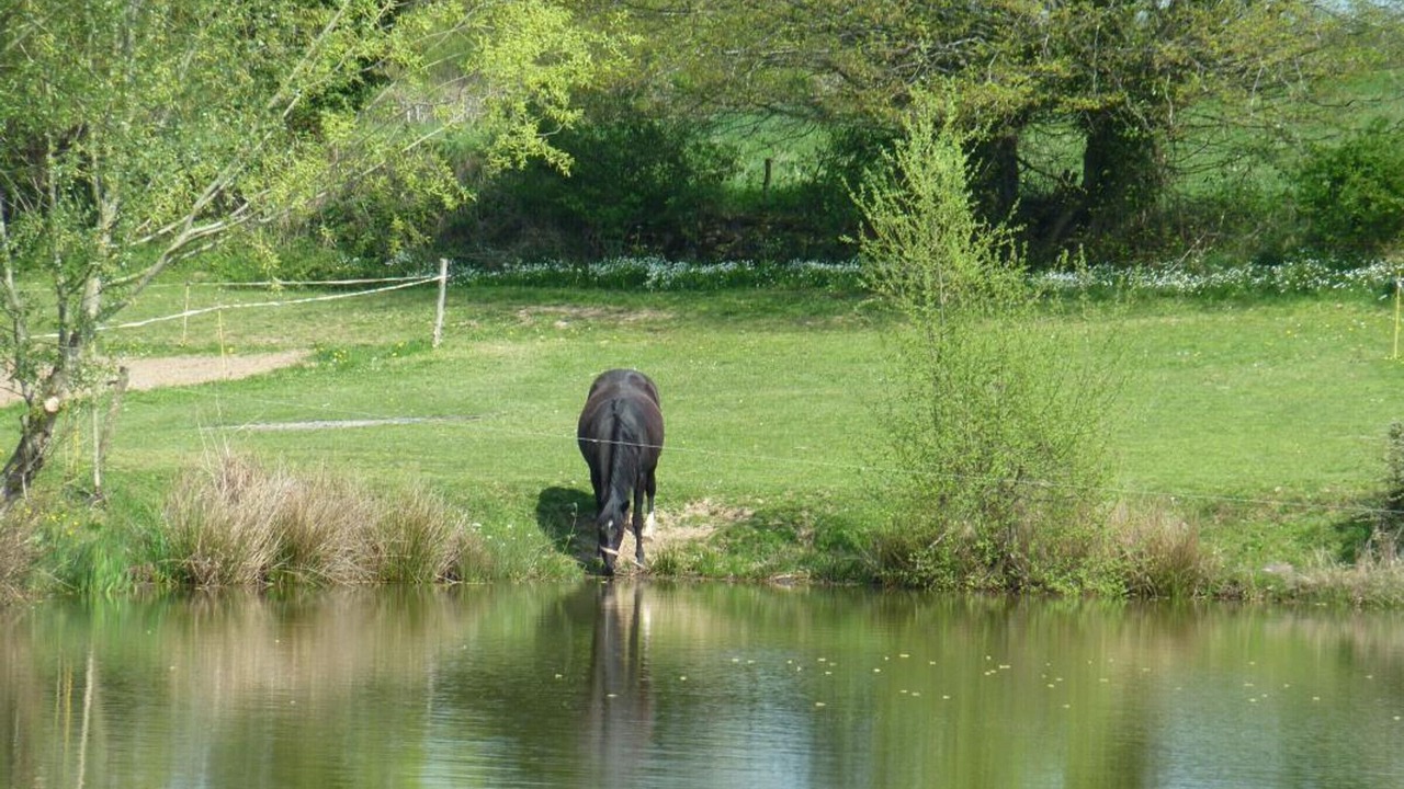 Photo of Others in Bourbon-l'Archambault