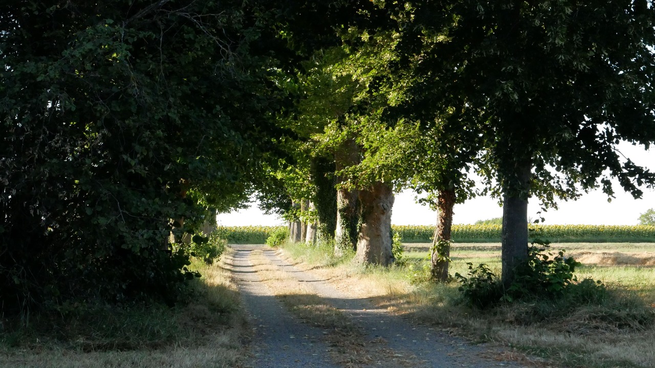Photo of Others in Genouillac