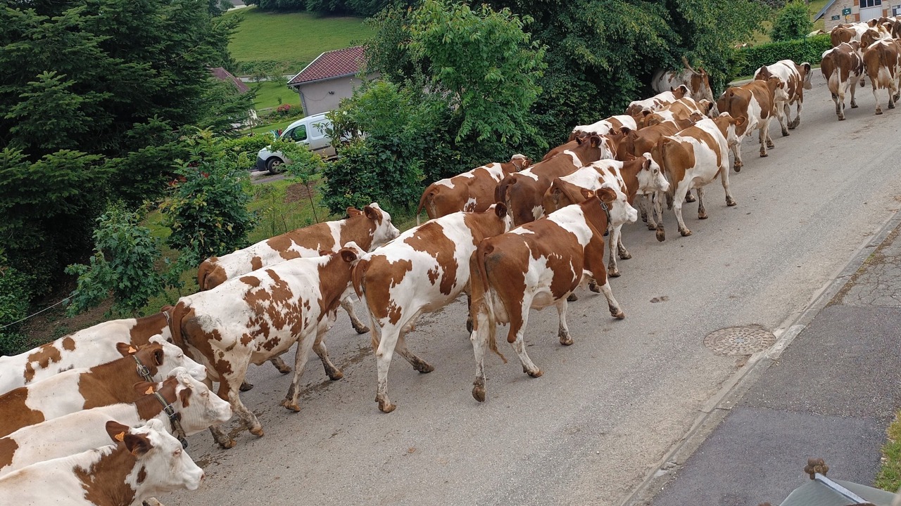 Photo of Others in Dampierre-sur-Linotte