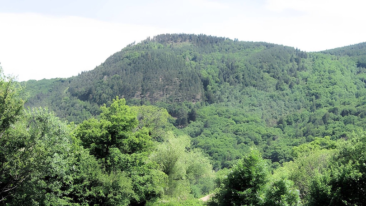 Photo of Others in Aizac