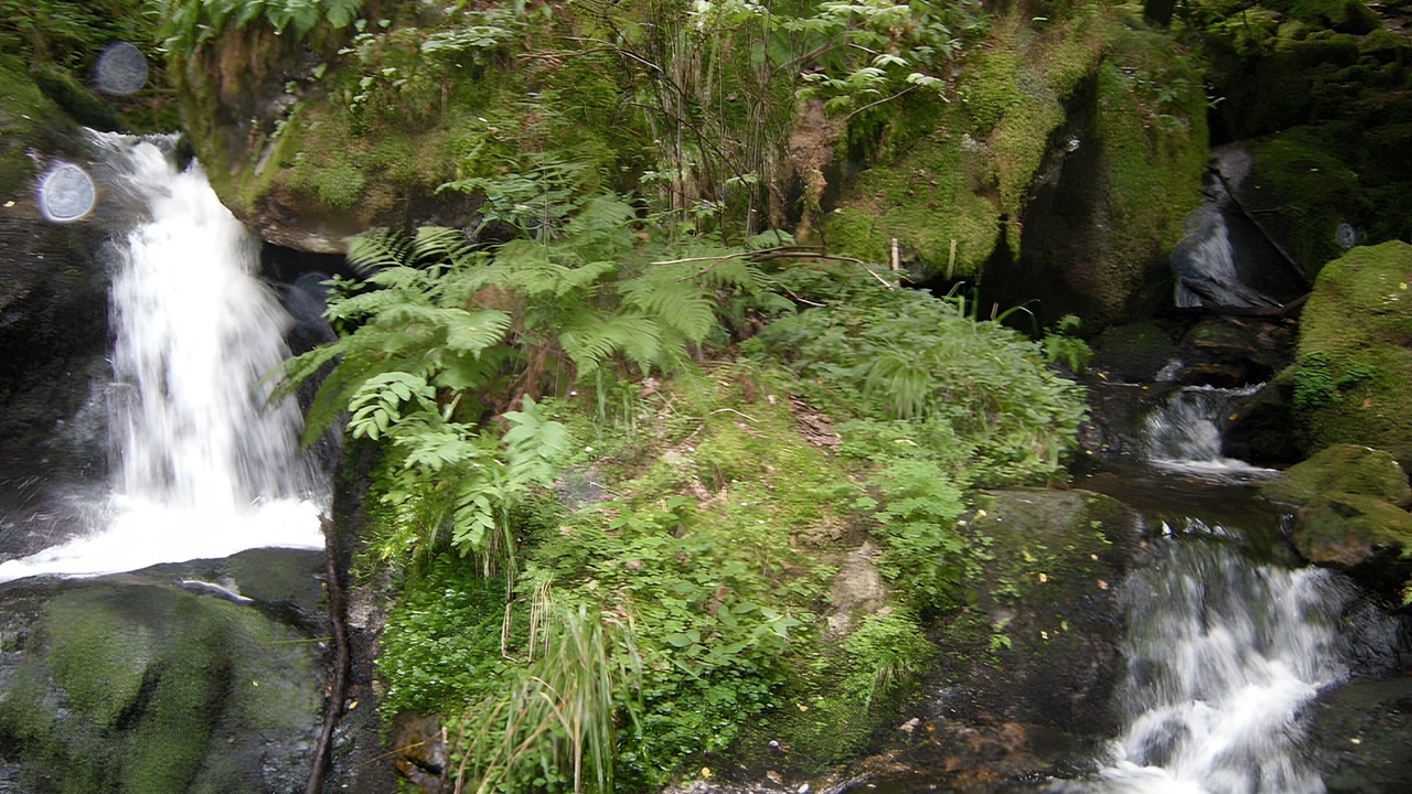 Photo of Others in Corancy