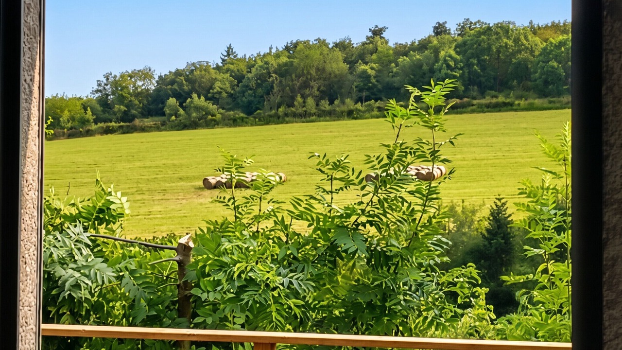 Photo of Others in Veranne