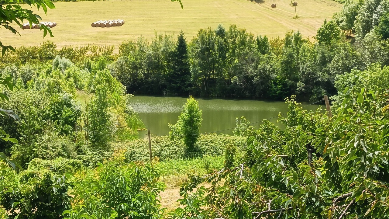 Photo of Outdoor in Veranne