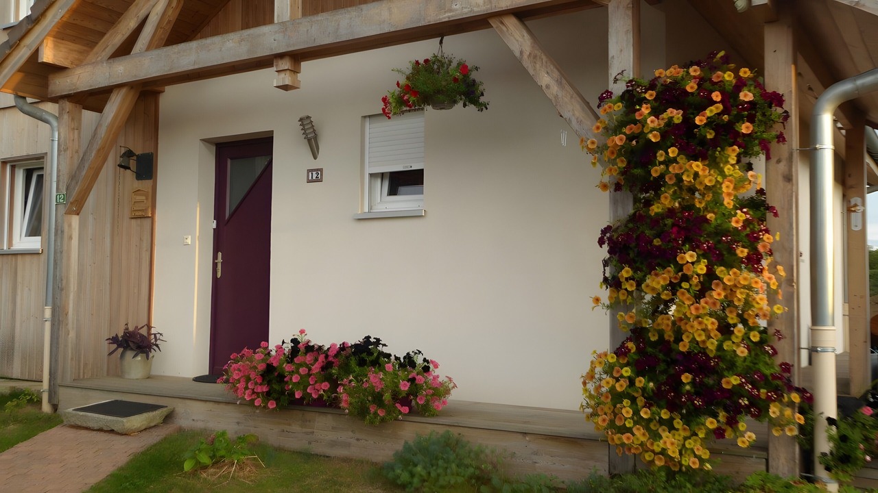 Photo of Outdoor in Corre