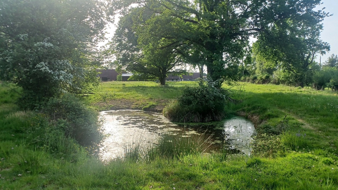 Photo of Outdoor in Saint Usuge