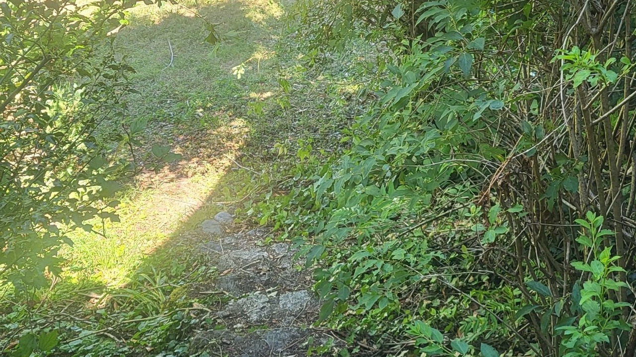 Photo of Outdoor in Saint-Jean-le-Vieux