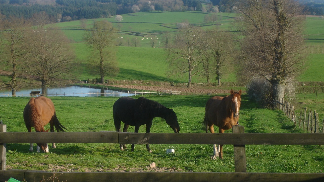 Photo of Others in Beaubery