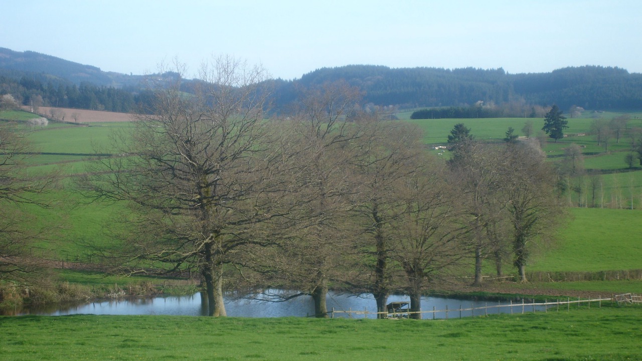 Photo of Others in Beaubery