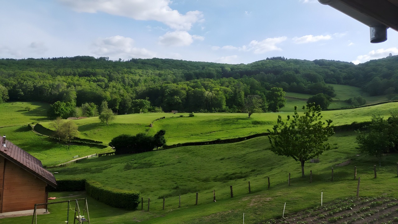 Photo of Others in Saint-Symphorien-de-Marmagne