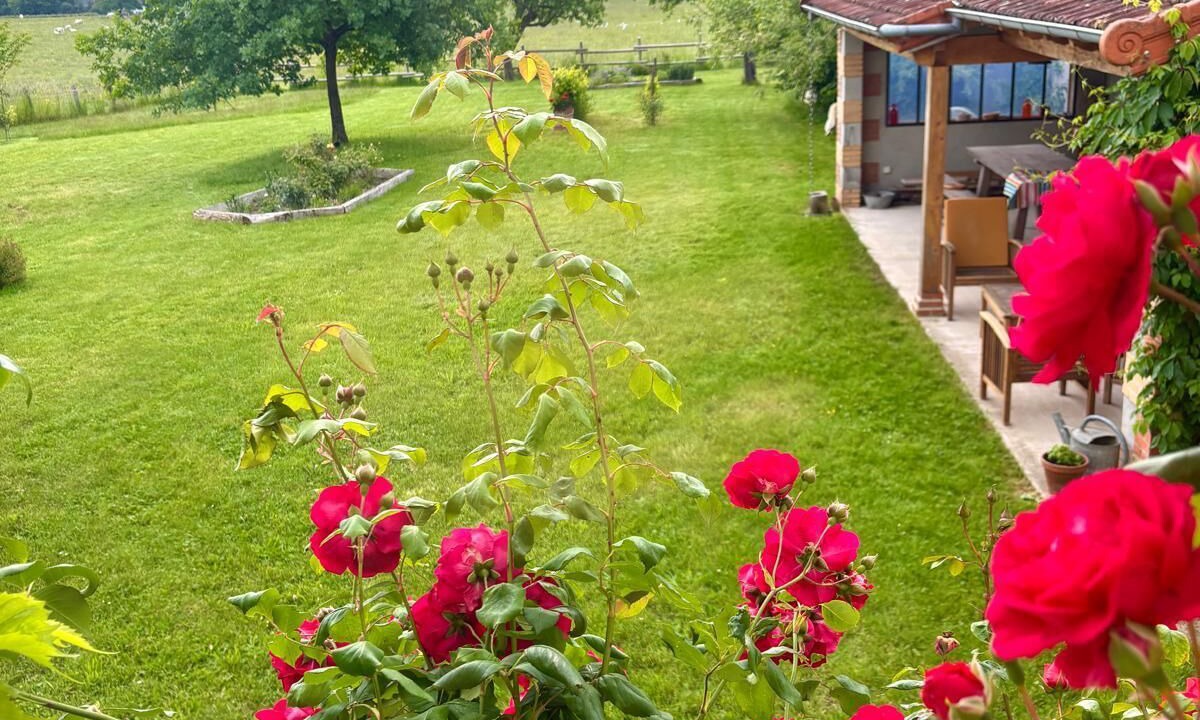 Photo of Outdoor in Ecuisses