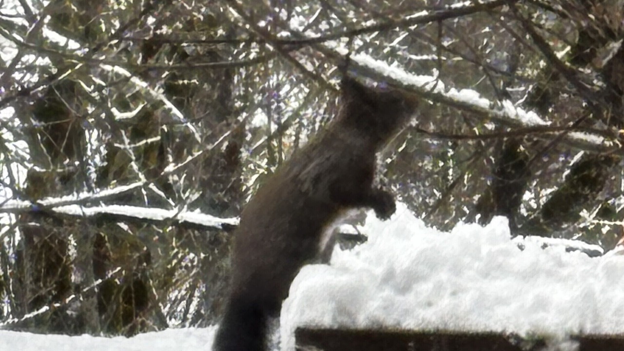 Photo of Others in Villard-de-Lans