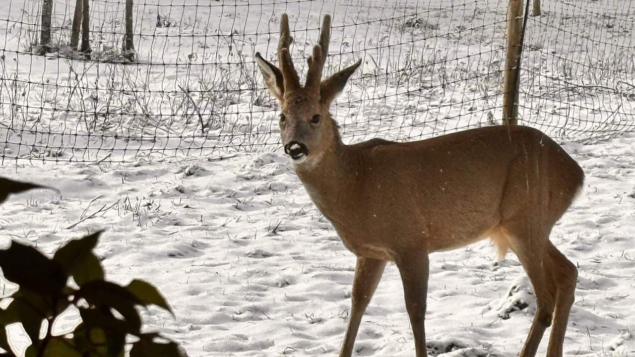 Photo of Others in Villard-de-Lans