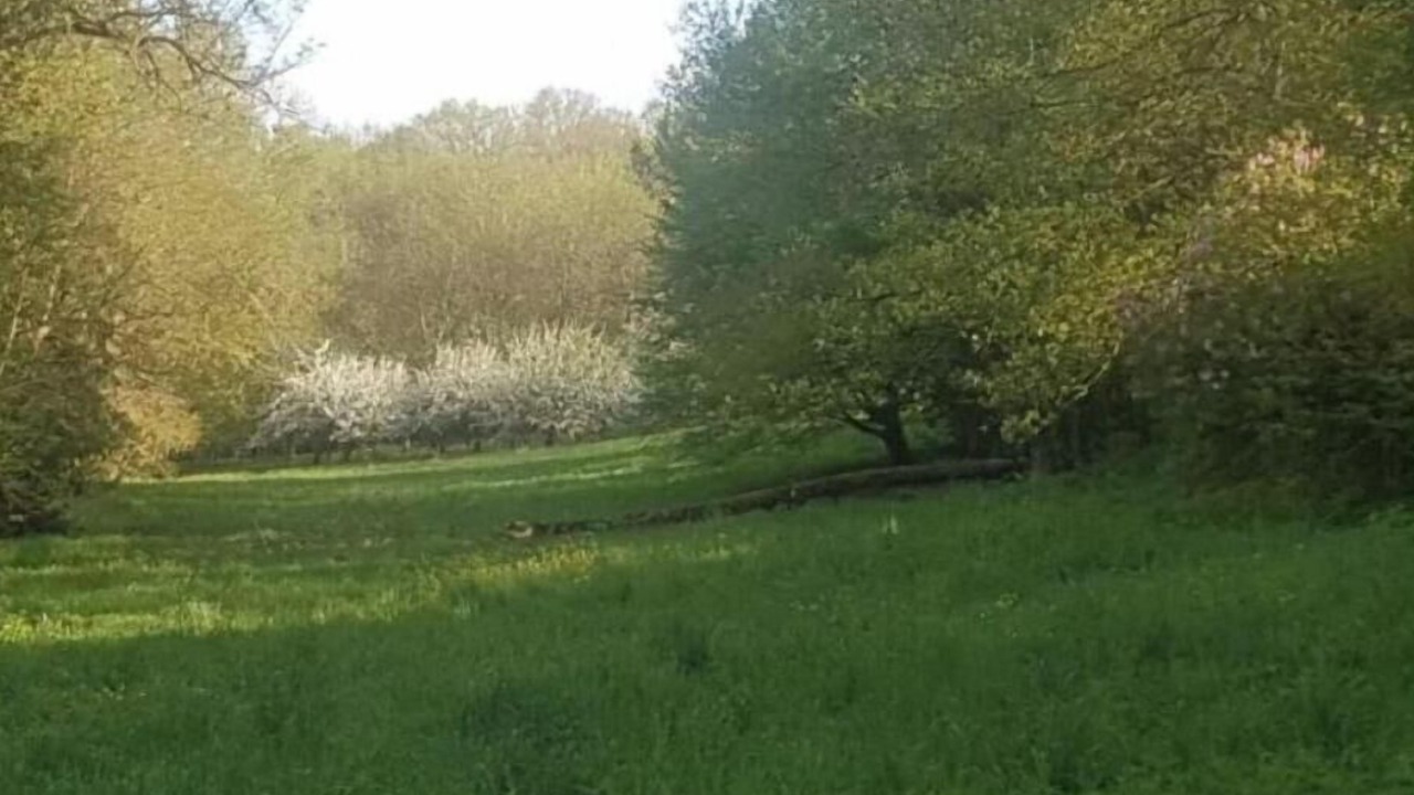 Photo of Others in Escolives-Sainte-Camille