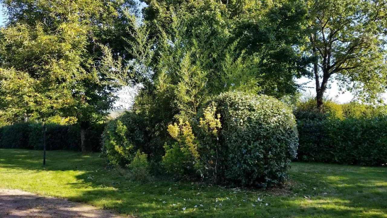 Photo of Outdoor in Gourdon