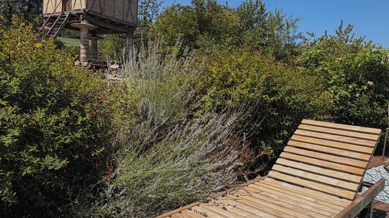 Photo of Outdoor in Castelnau-de-Montmiral