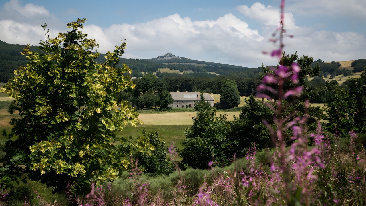 Photo of Others in Sagnes-et-Goudoulet