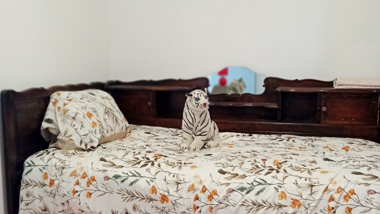 Photo of Bedroom in Thiel-sur-Acolin