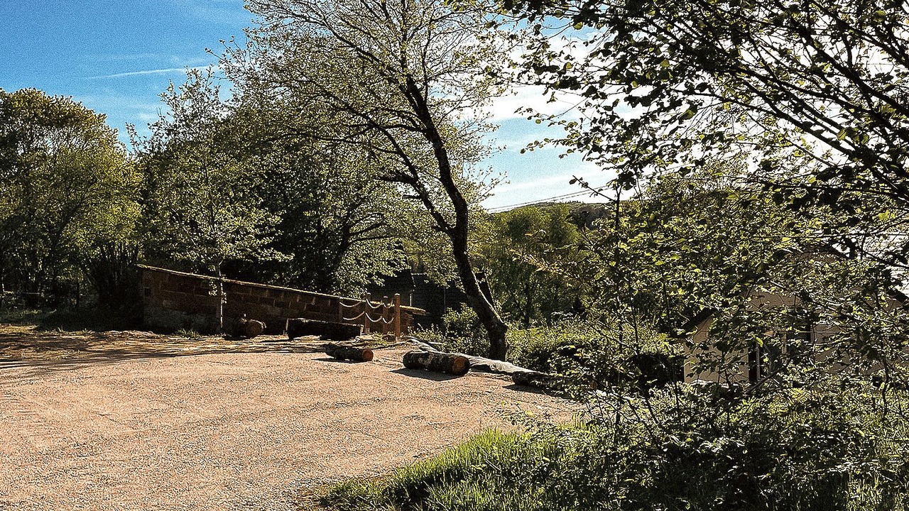 Photo of Outdoor in Brassy