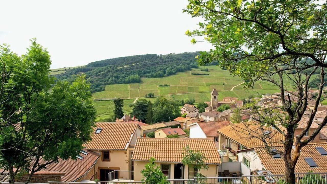 Photo of Others in Solutre-Pouilly