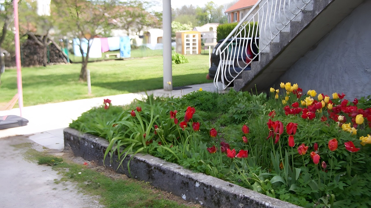 Photo of Outdoor in Vertamboz