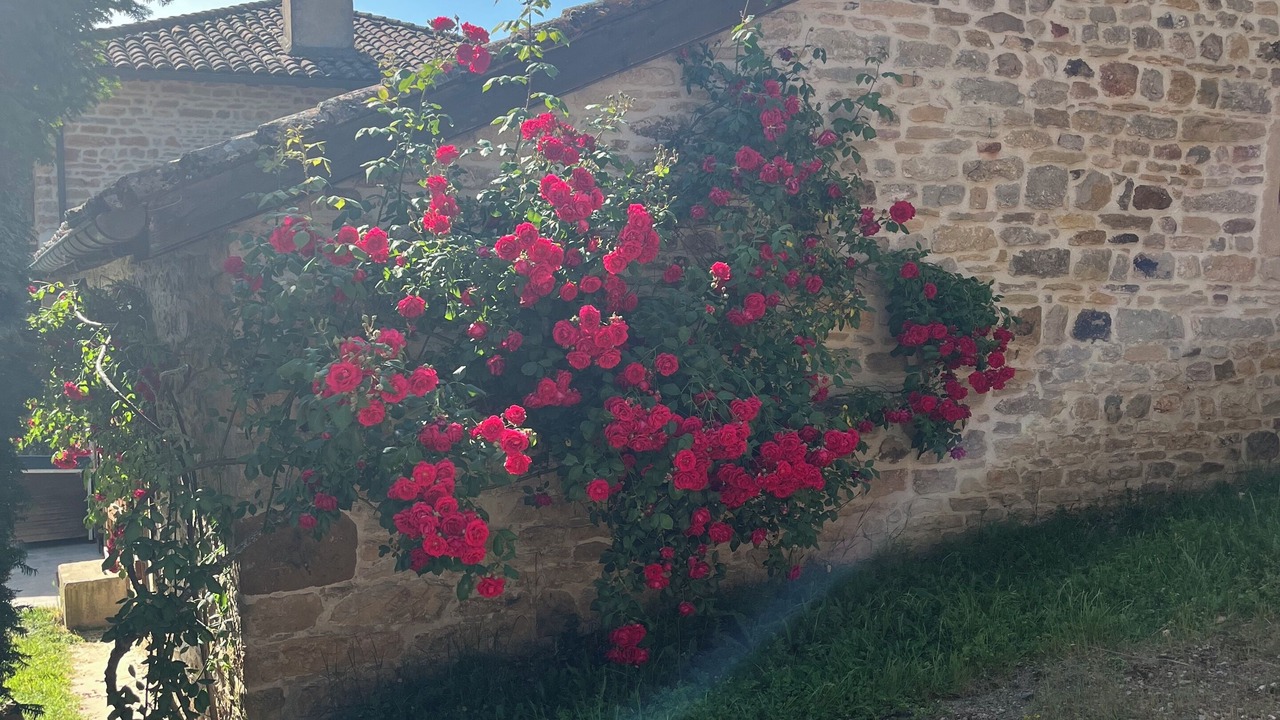 Photo of Outdoor in Jalogny