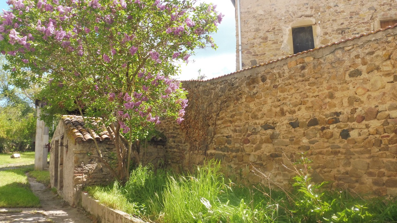 Photo of Outdoor in Auzat-la-Combelle