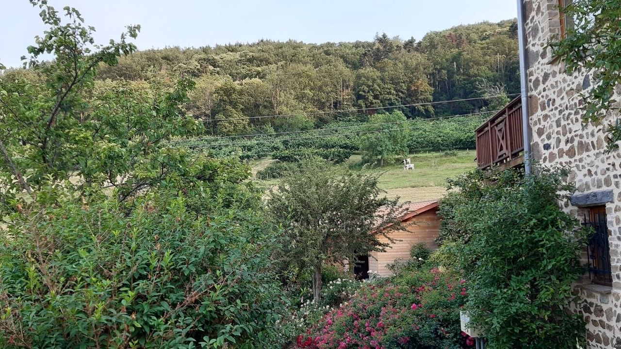 Photo of Outdoor in Saint-Romain-de-Popey