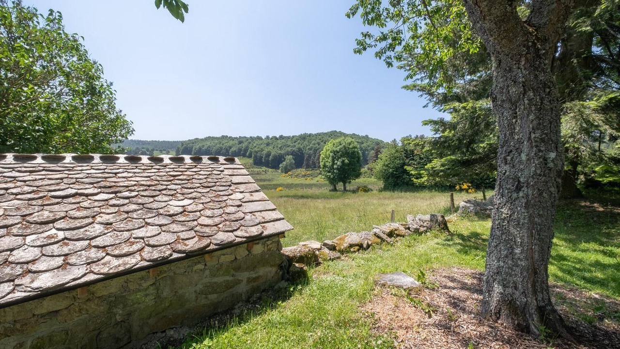 Photo of Outdoor in Peyre-en-Aubrac