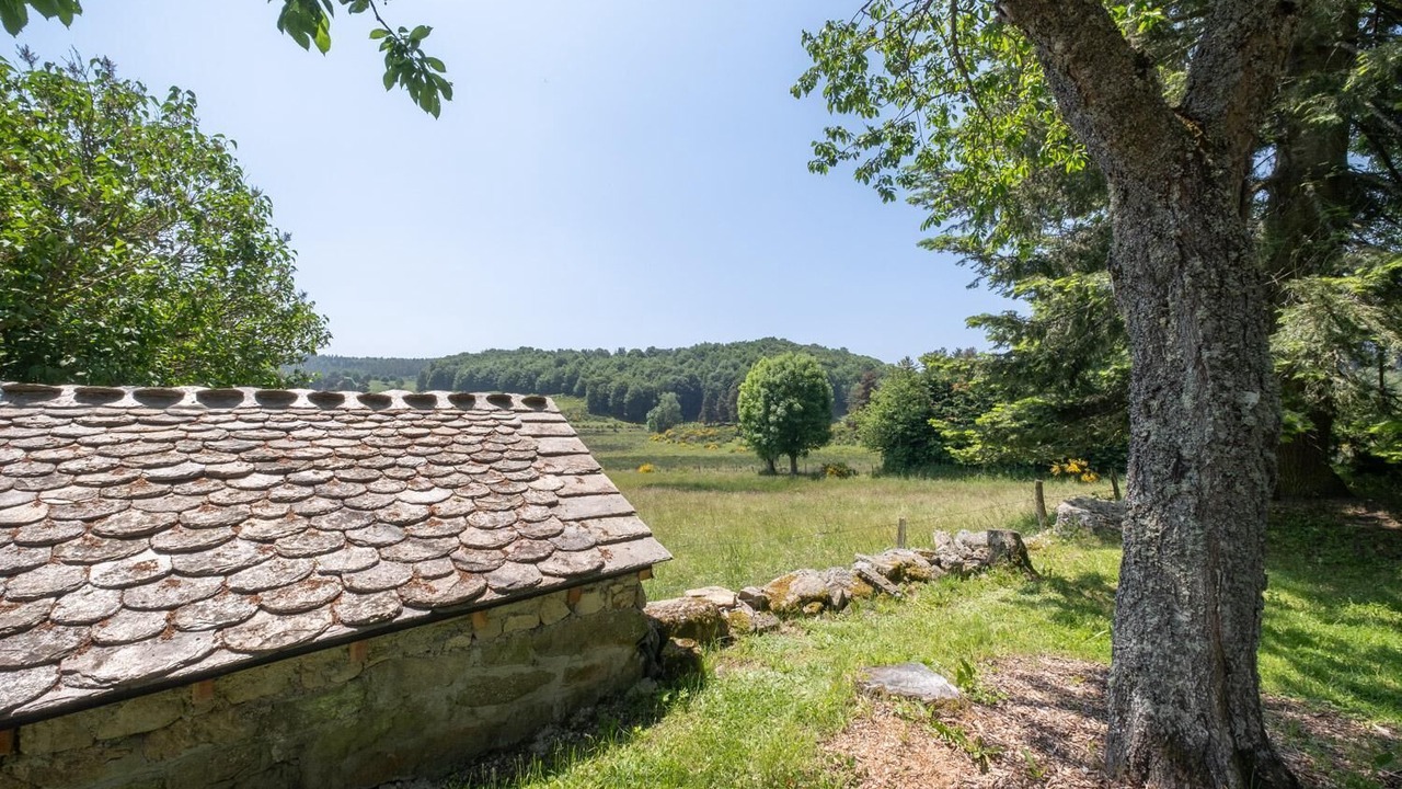 Photo of Outdoor in Peyre-en-Aubrac