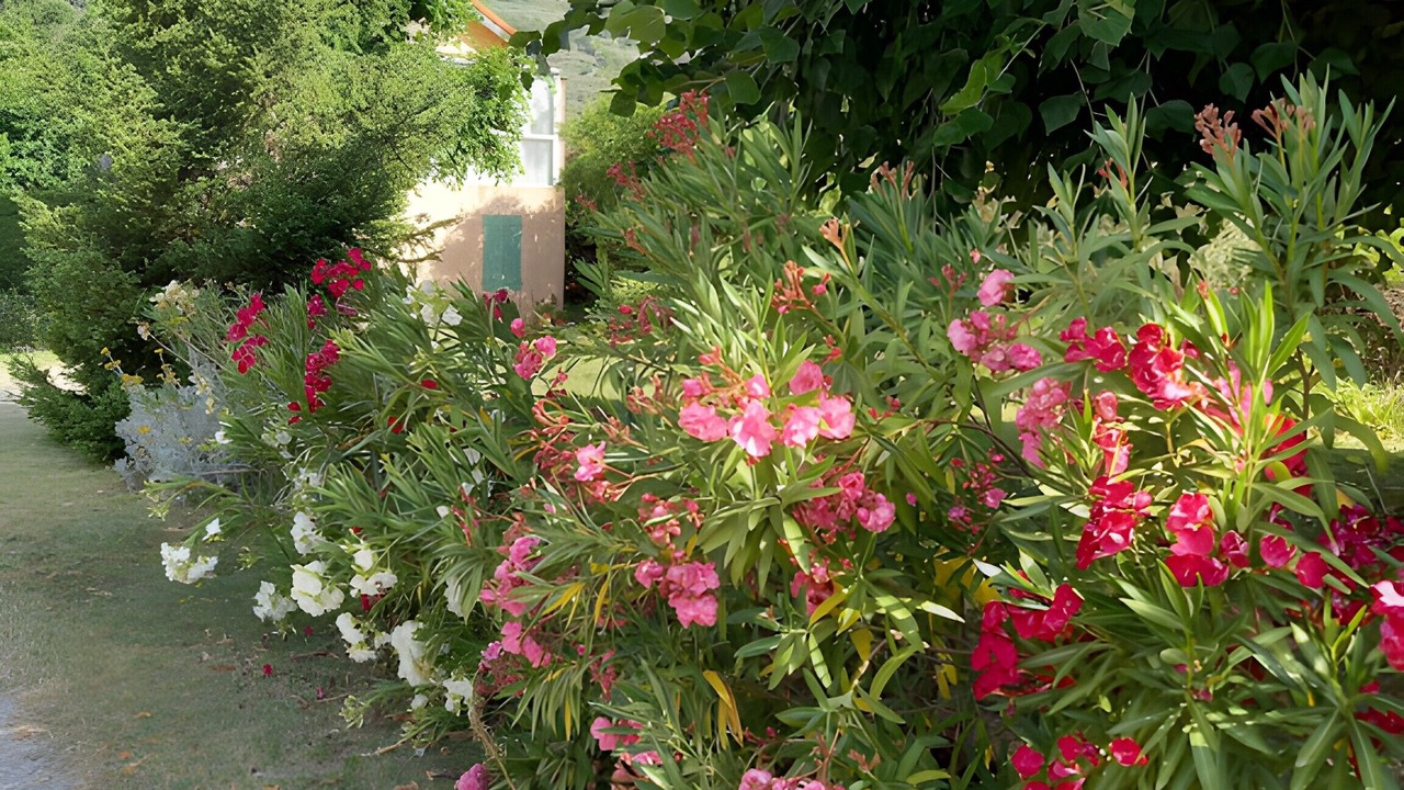 Photo of Outdoor in Buis-les-Baronnies