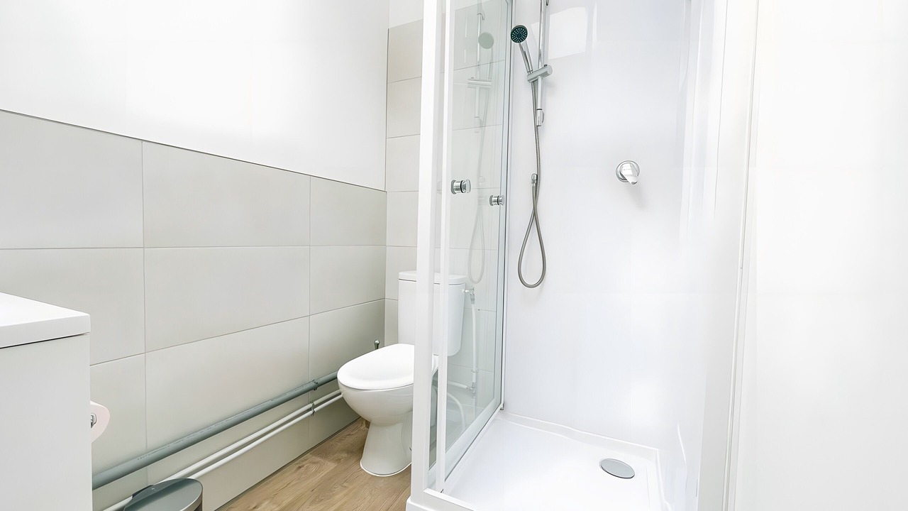 Photo of Bathroom in Saint-Martin-d'Heres