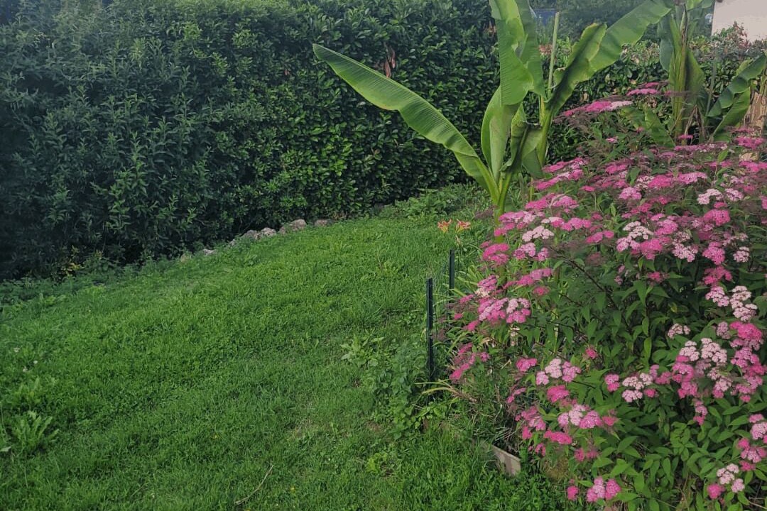 Photo of Outdoor in Villiers-sur-Morin