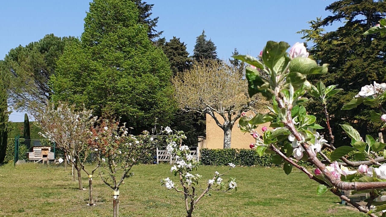 Photo of Outdoor in Charols