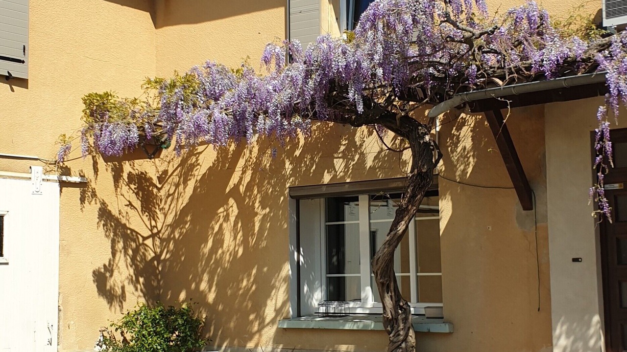 Photo of Outdoor in Charols