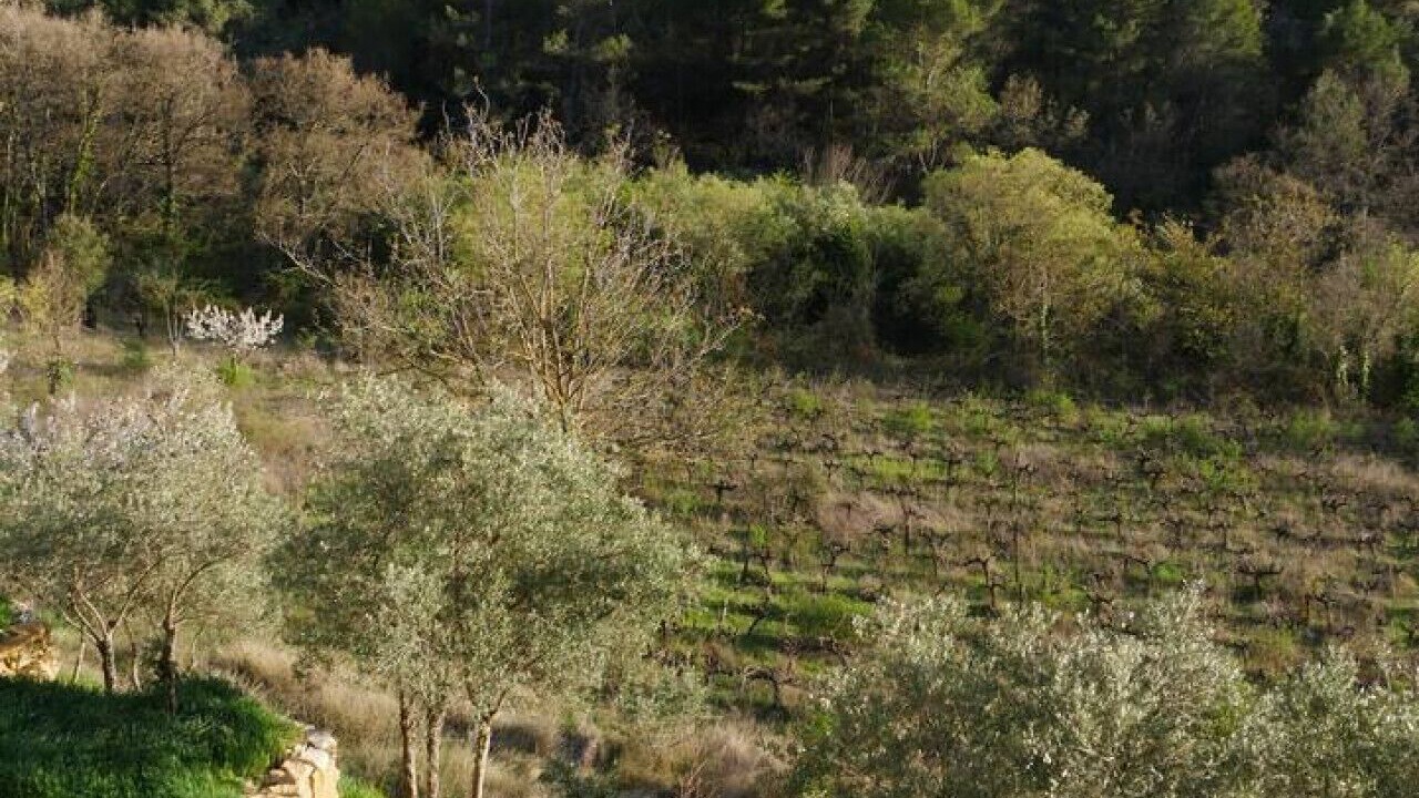 Photo of Others in La Roque-sur-Pernes