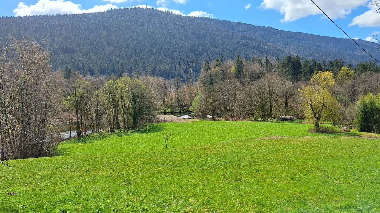 Photo of Others in Travexin