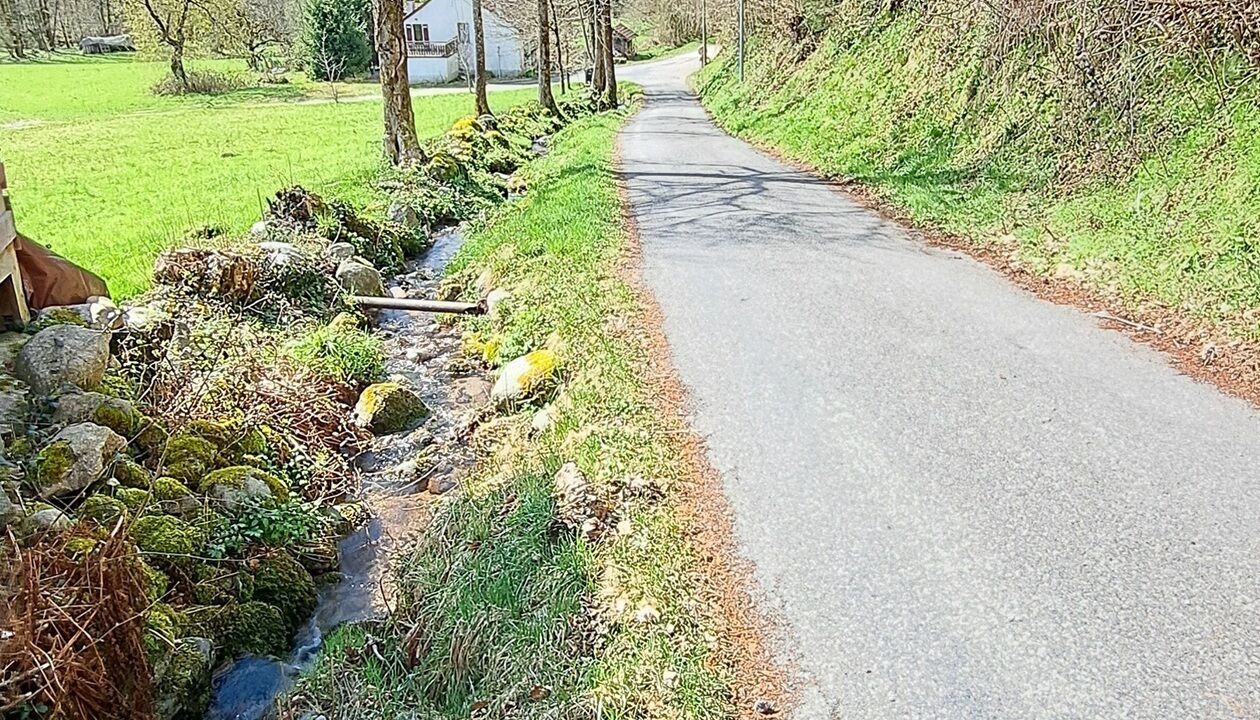Photo of Others in Travexin