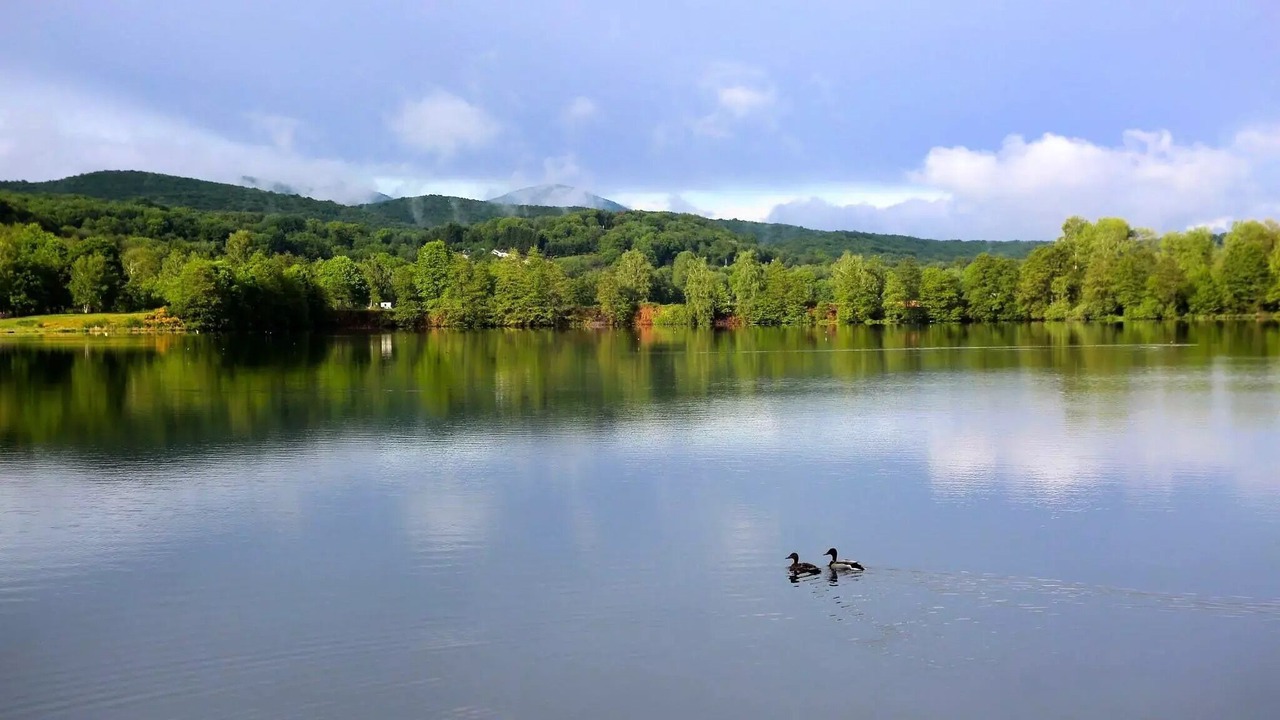Photo of Others in Champagney