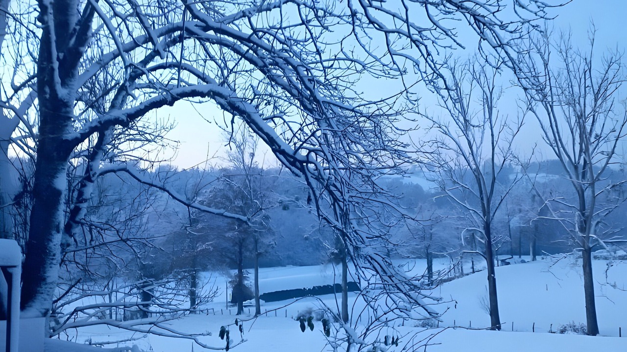 Photo of Outdoor in Saint-Martin-Lestra