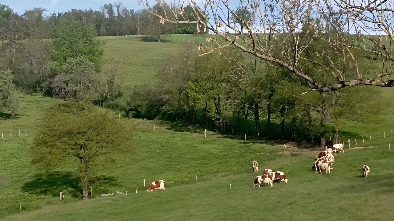 Photo of Others in Saint-Martin-Lestra