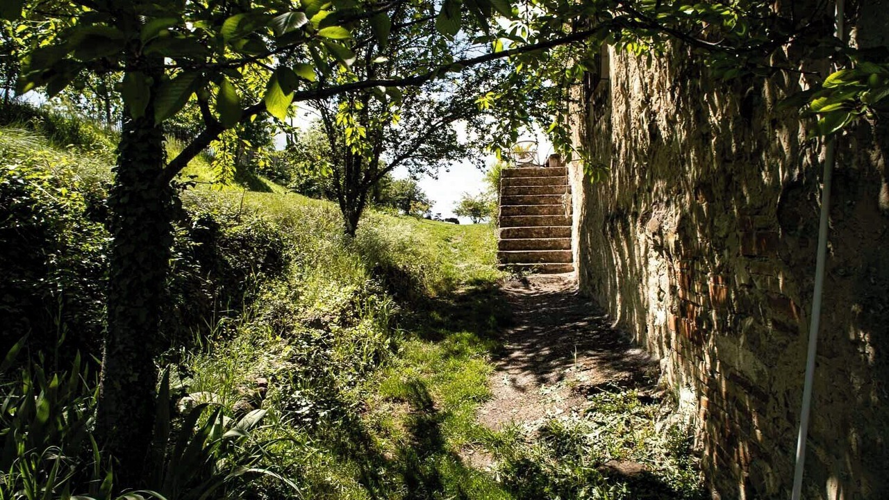 Photo of Outdoor in Puy-Saint-Martin