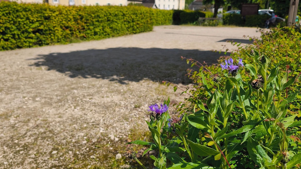 Photo of Outdoor in Lods