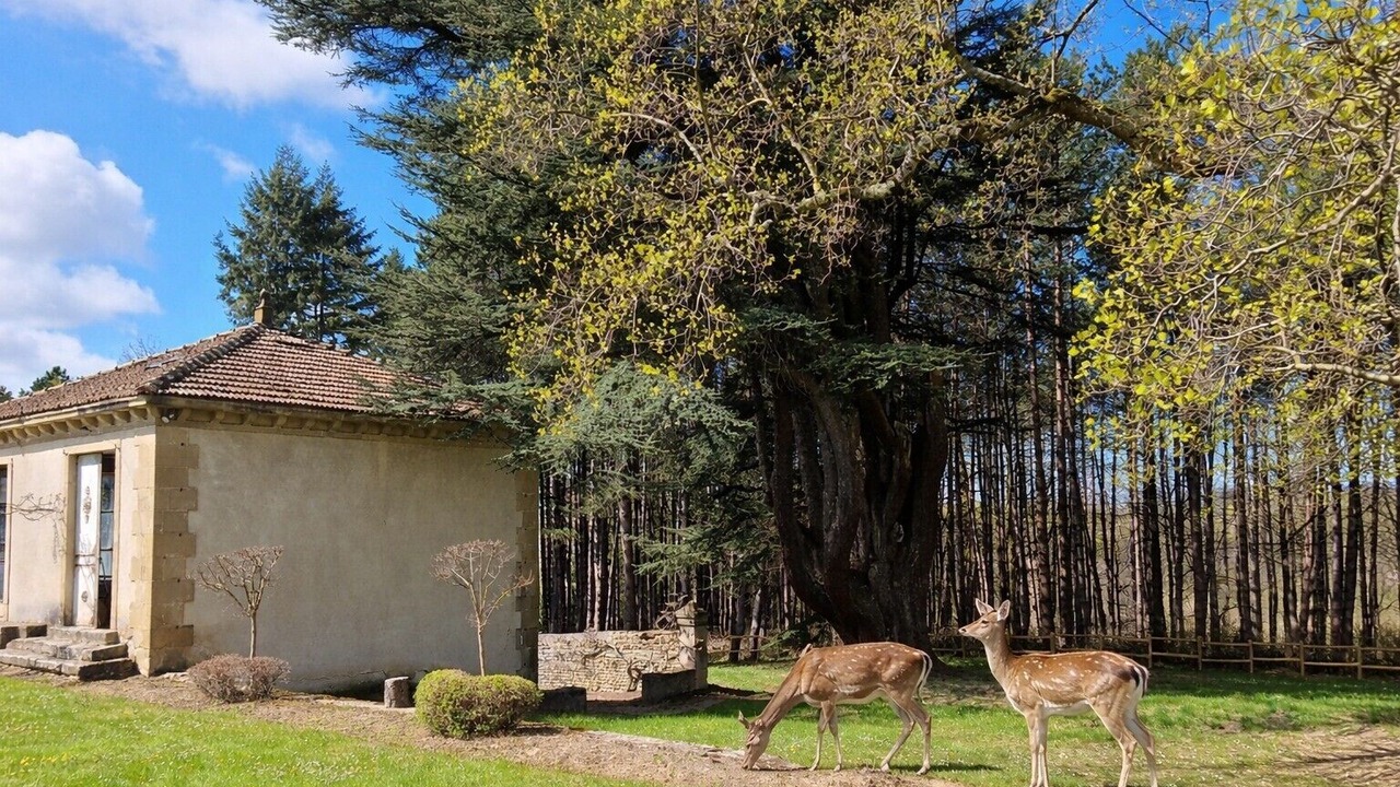 Photo of Outdoor in Hauterives