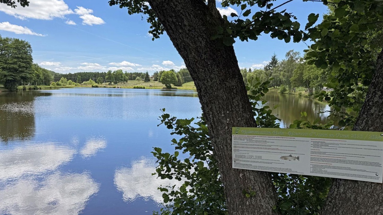 Photo of Others in Usson-en-Forez
